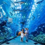 Some of the Best Places in Dubai for Tourists